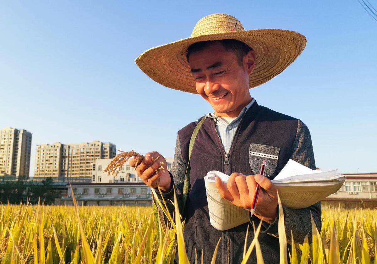 已更新！粮食经纪人证书工作内容、就业方向以及考试内容。