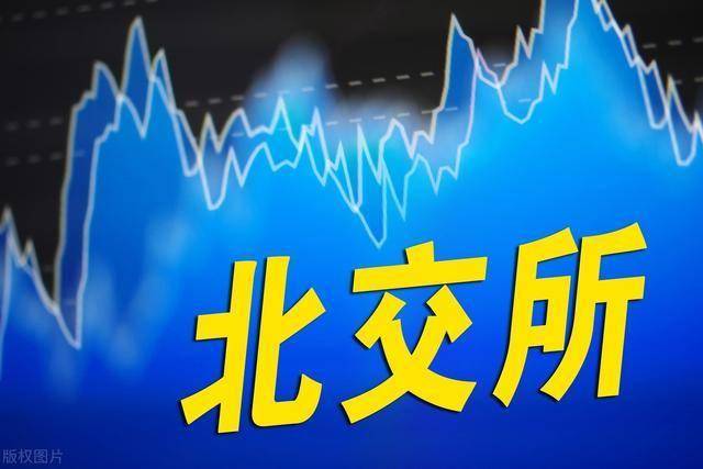 北京证券交易所上市条件