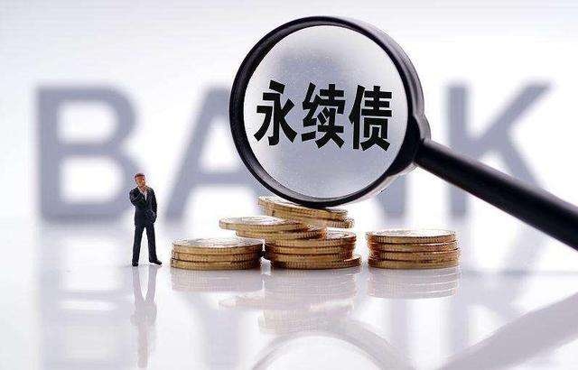 可分离交易债券(可分离交易的可转换公司债券)