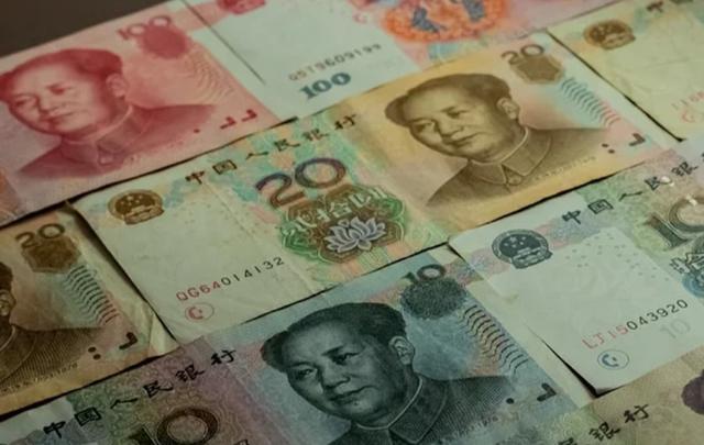 一国多币(一国多币的情况)